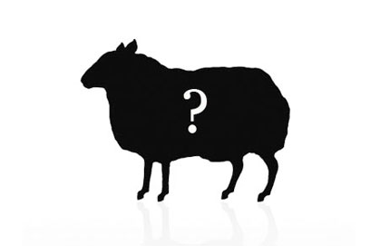 Black_sheep?